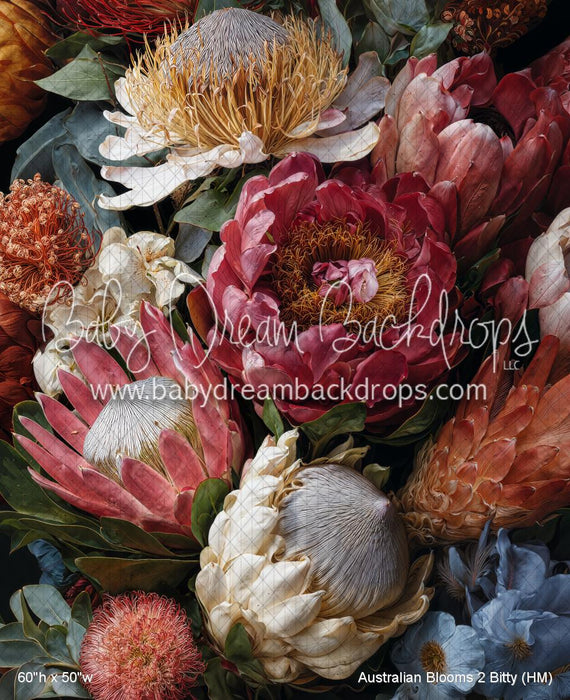 Australian Blooms 2 Bitty (HM)