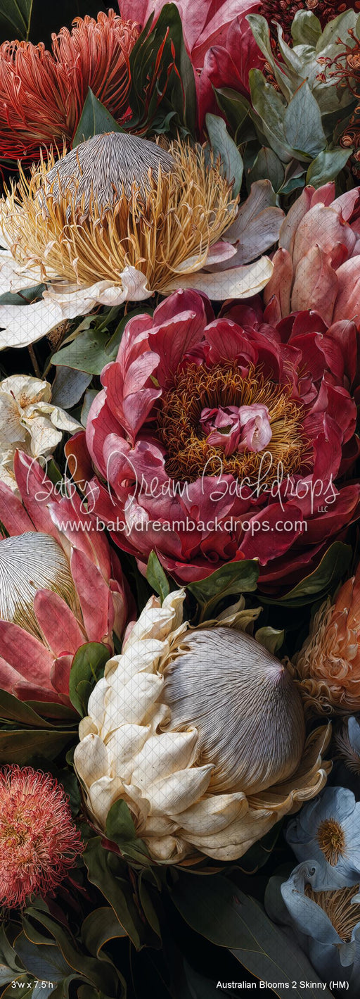 Australian Blooms 2 Skinny (HM)