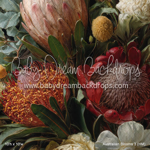 Australian Blooms 3 (HM)