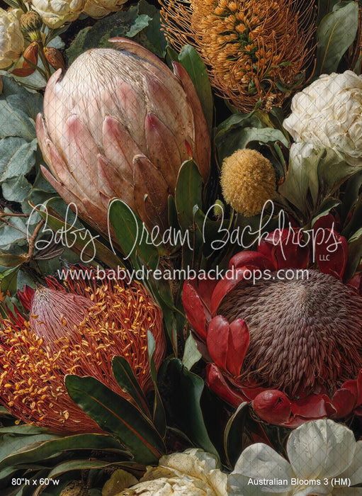 Australian Blooms 3 (HM)