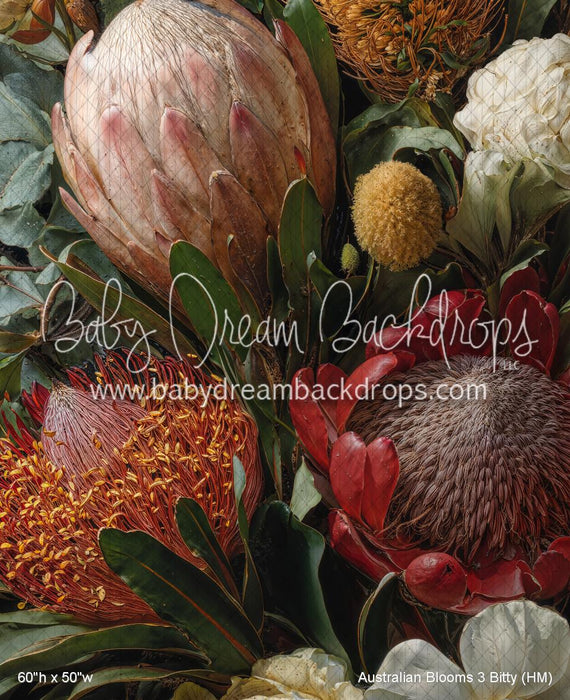 Australian Blooms 3 Bitty (HM)