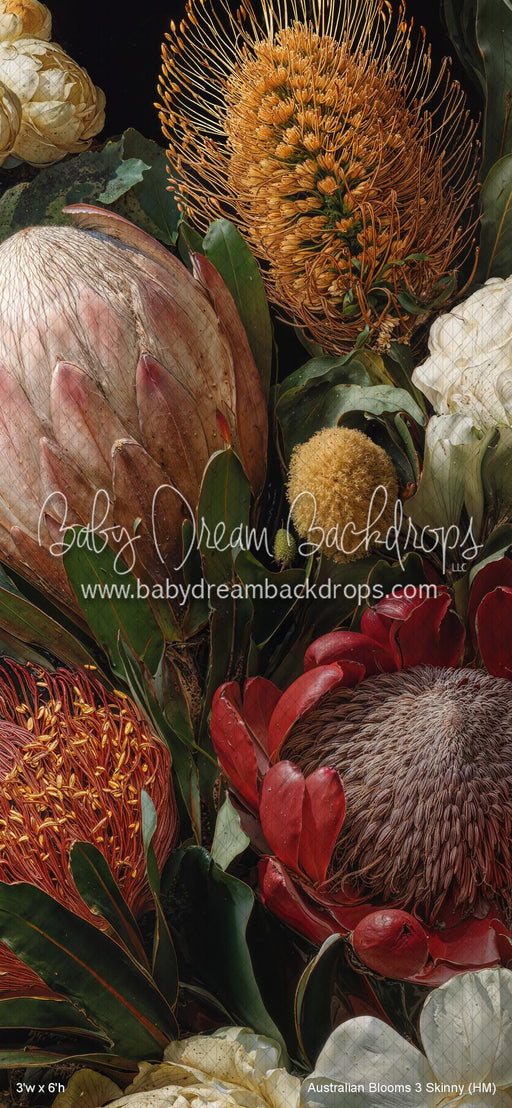 Australian Blooms 3 Skinny (HM)