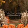 Autumn Acres Pumpkin Path (JA)