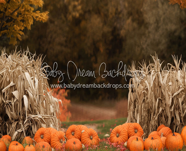 Autumn Acres Pumpkin Path (JA)