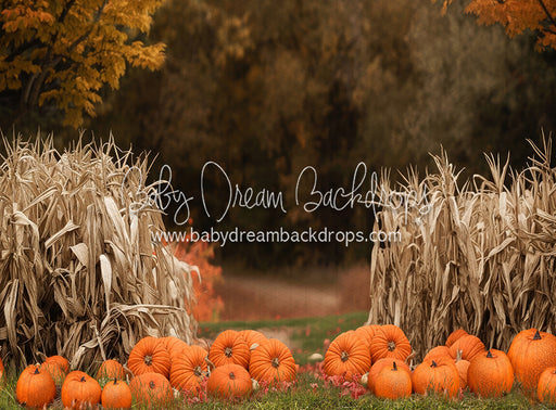 Autumn Acres Pumpkin Path (JA)