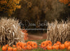 Autumn Acres Pumpkin Path (JA)