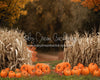 Autumn Acres Pumpkin Path (JA)