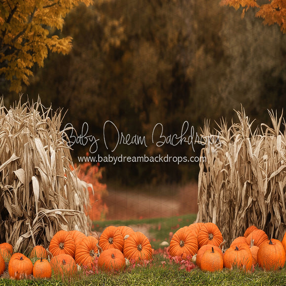 X Drop Autumn Acres Pumpkin Path (JA)