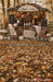 Autumn Apple Sip Station Sweep (BD)