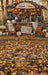 Autumn Apple Sip Station Sweep (BD)
