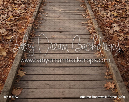 Autumn Boardwalk Forest (GO)
