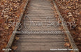Autumn Boardwalk Forest (GO)
