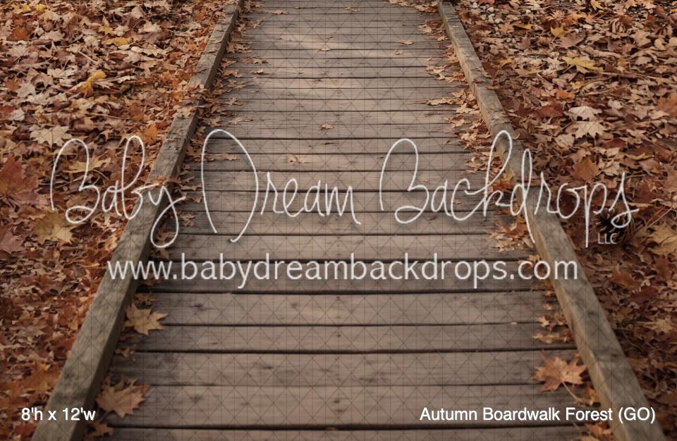Autumn Boardwalk Forest (GO)