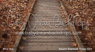 Autumn Boardwalk Forest (GO)