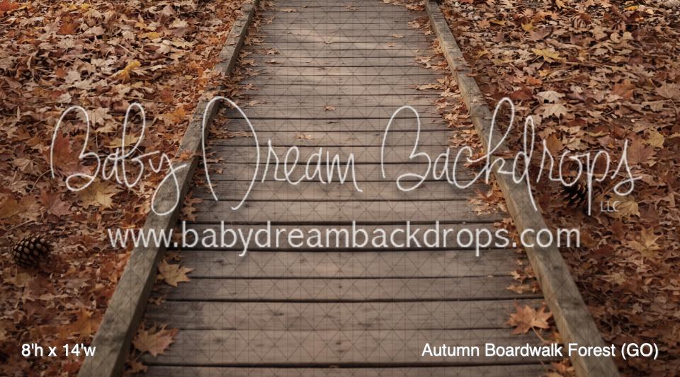 Autumn Boardwalk Forest (GO)