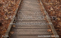 Autumn Boardwalk Forest (GO)