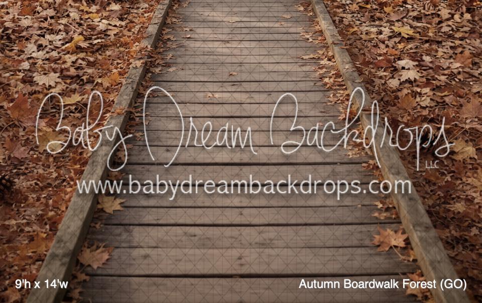 Autumn Boardwalk Forest (GO)