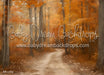 Autumn Country Road (WM)