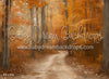 Autumn Country Road (WM)