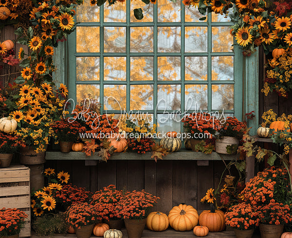 Autumn Greenhouse Window Flipped (JA)