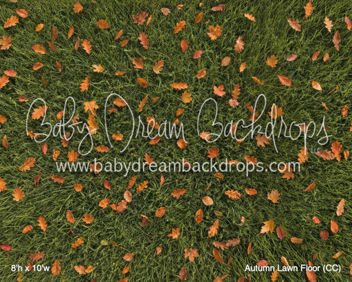 Autumn Lawn Fabric Floor (CC)