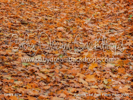 Autumn Leaf Path Fabric Floor (WM)