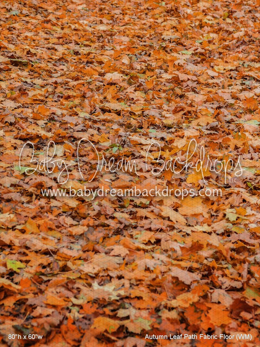Autumn Leaf Path Fabric Floor (WM)
