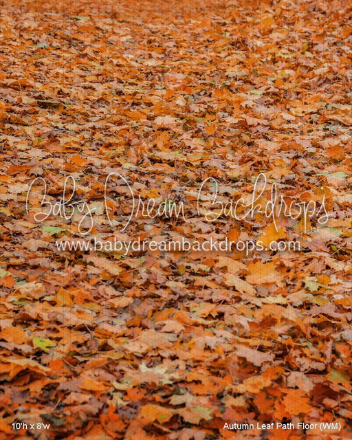 Autumn Leaf Path Fabric Floor (WM)