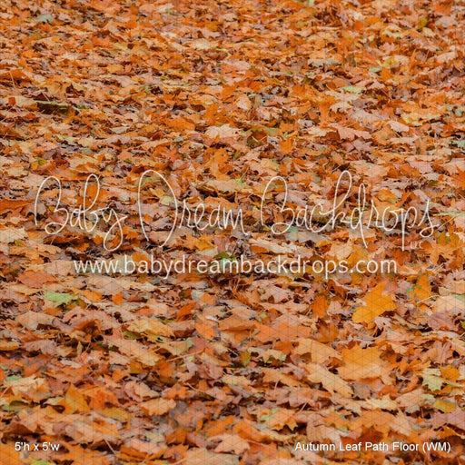 Autumn Leaf Path Floor (WM)