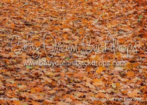 Autumn Leaf Path Floor (WM)