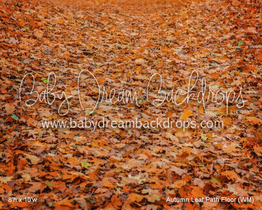 Autumn Leaf Path Fabric Floor (WM)