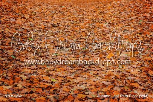 Autumn Leaf Path Fabric Floor (WM)