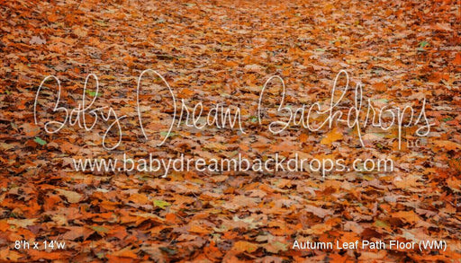 Autumn Leaf Path Fabric Floor (WM)