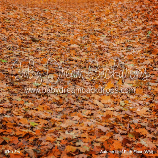 Autumn Leaf Path Floor (WM)