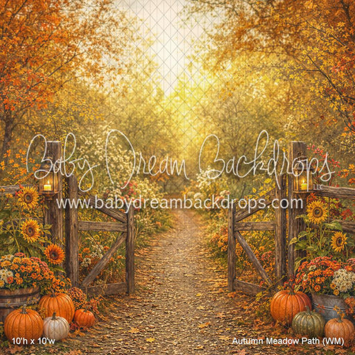 Autumn Meadow Path (WM)