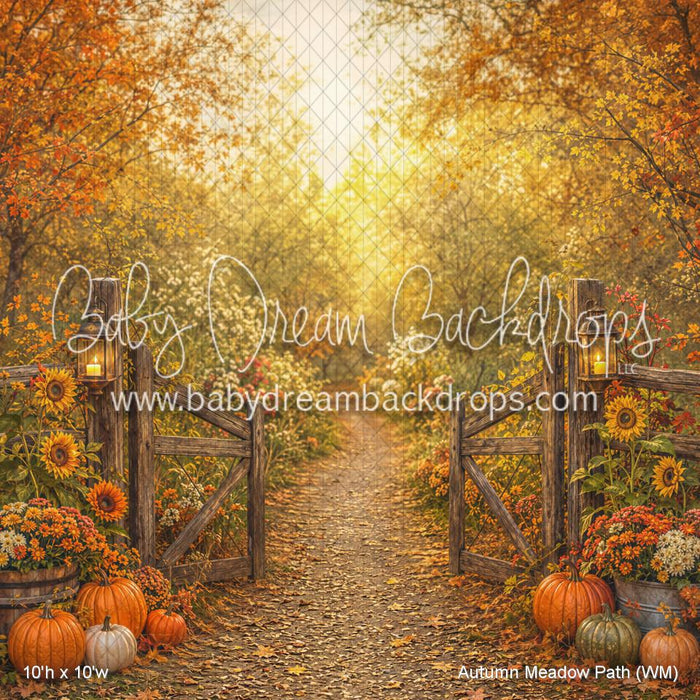 Autumn Meadow Path (WM)