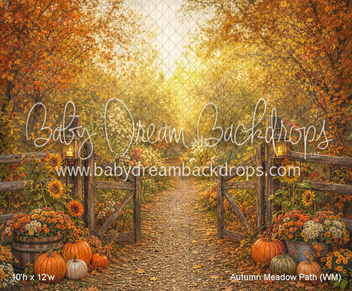 Autumn Meadow Path (WM)
