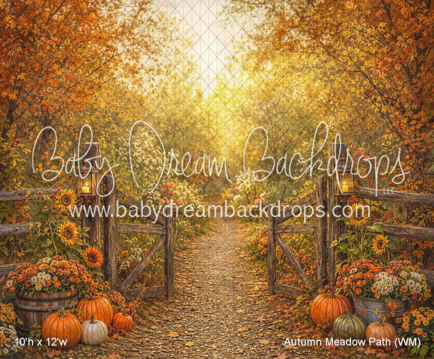 Autumn Meadow Path (WM)