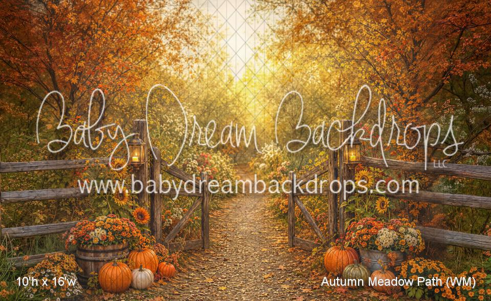 Autumn Meadow Path (WM)
