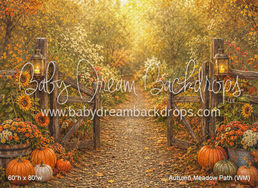 Autumn Meadow Path (WM)