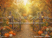 Autumn Meadow Path (WM)