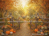 Autumn Meadow Path (WM)