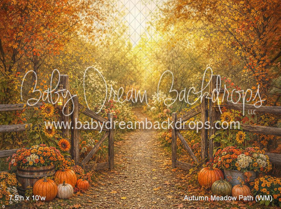 Autumn Meadow Path (WM)