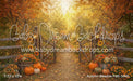 Autumn Meadow Path (WM)