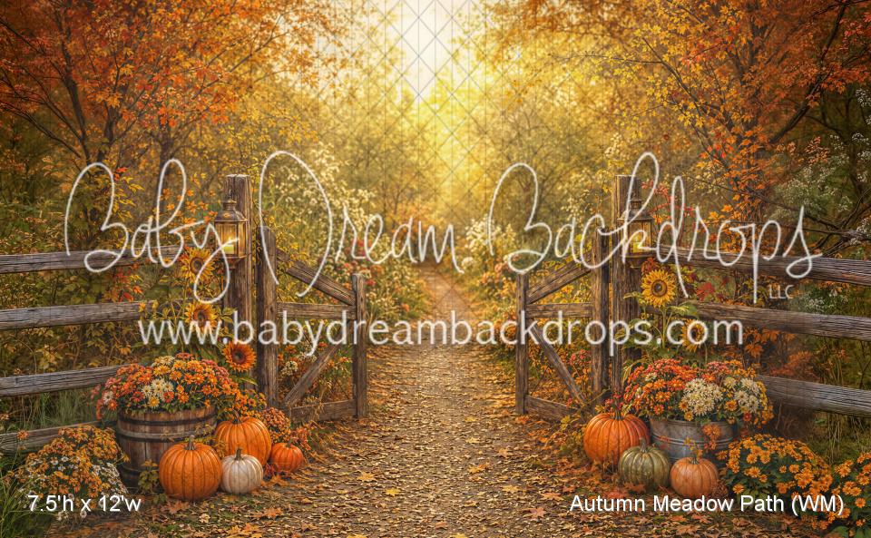 Autumn Meadow Path (WM)
