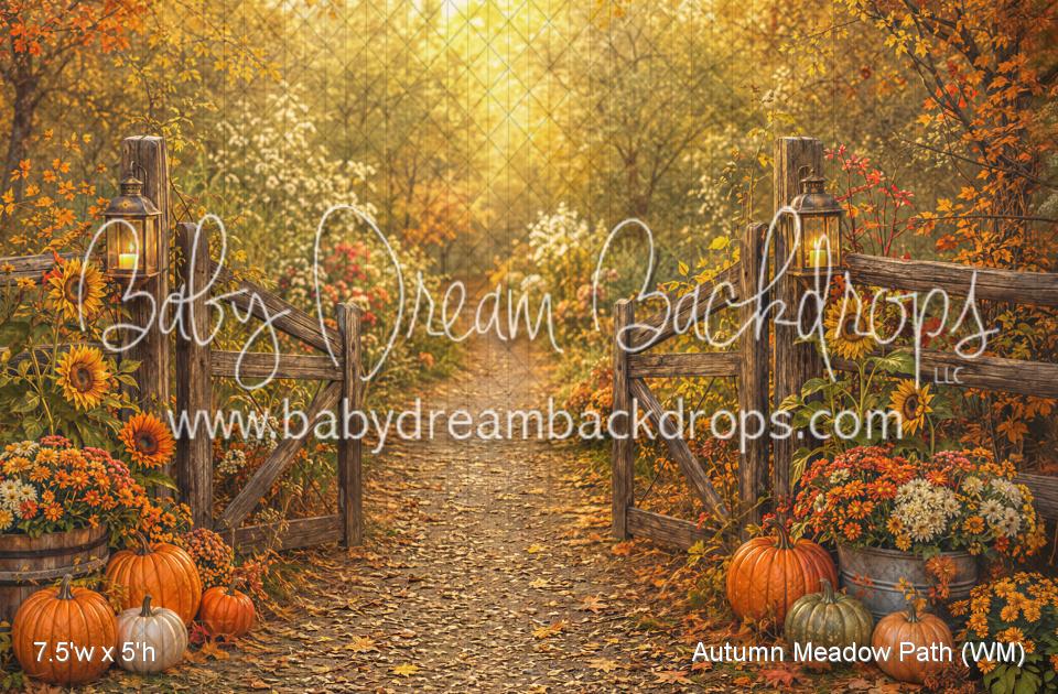 Autumn Meadow Path (WM)