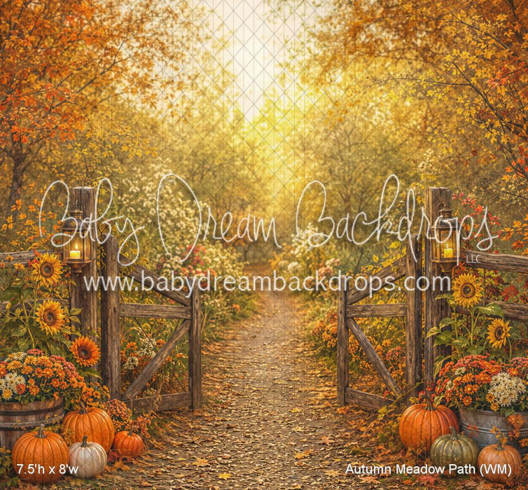 Autumn Meadow Path (WM)