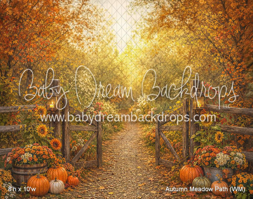 Autumn Meadow Path (WM)