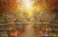 Autumn Meadow Path (WM)