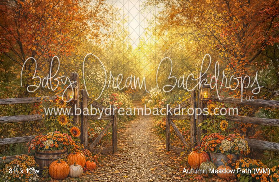 Autumn Meadow Path (WM)